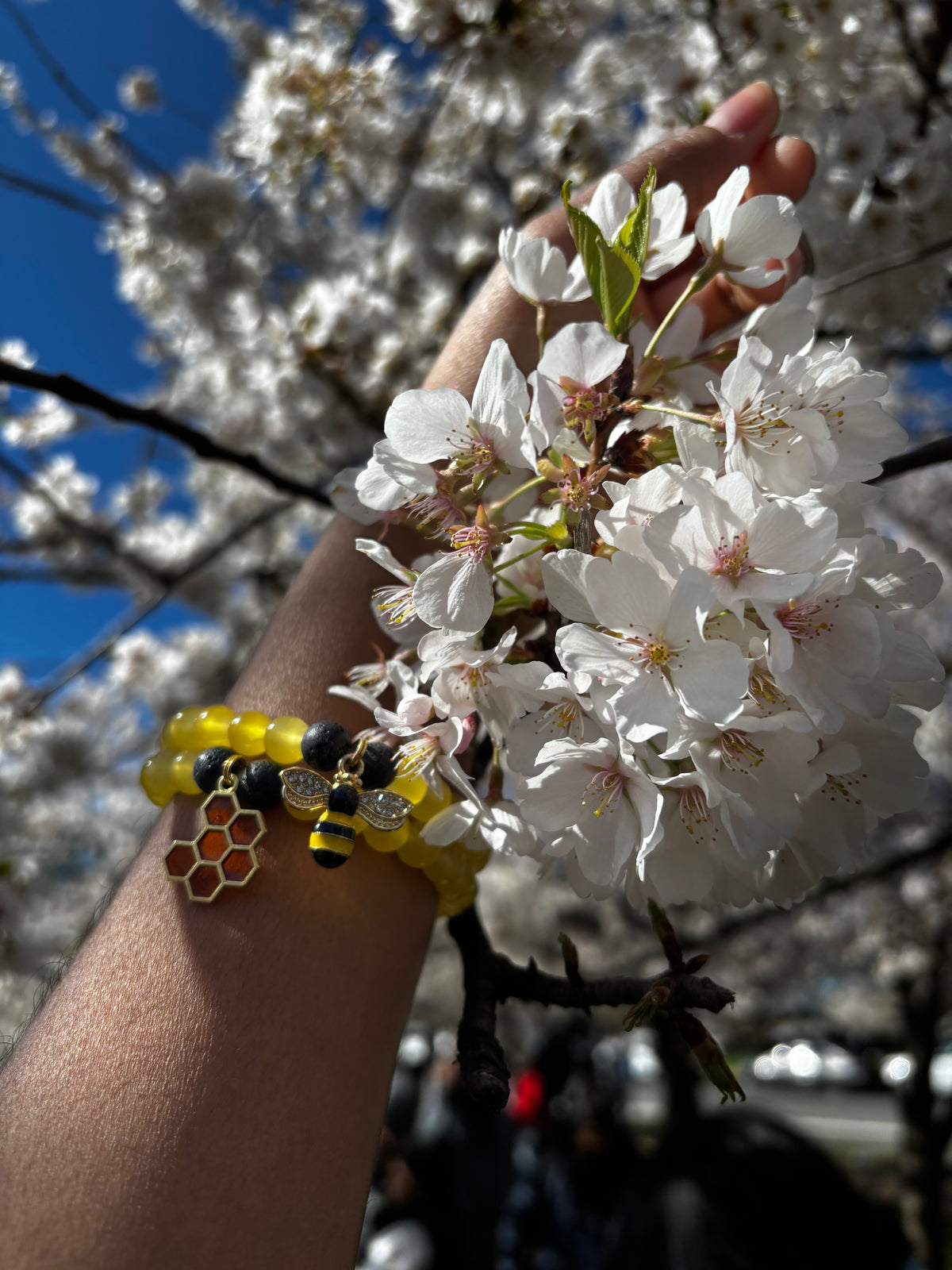 Honey bee