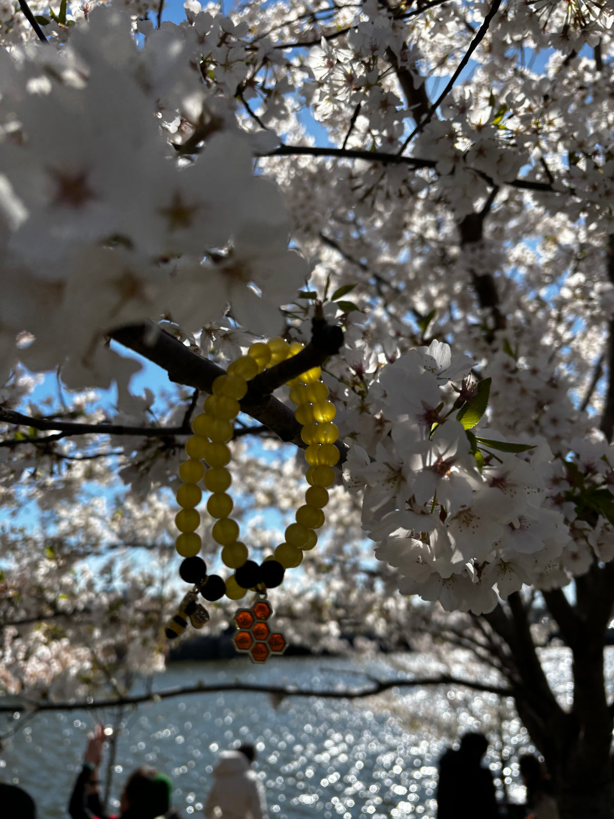 Honey bee