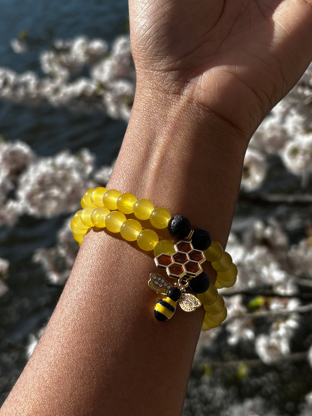 Honey bee