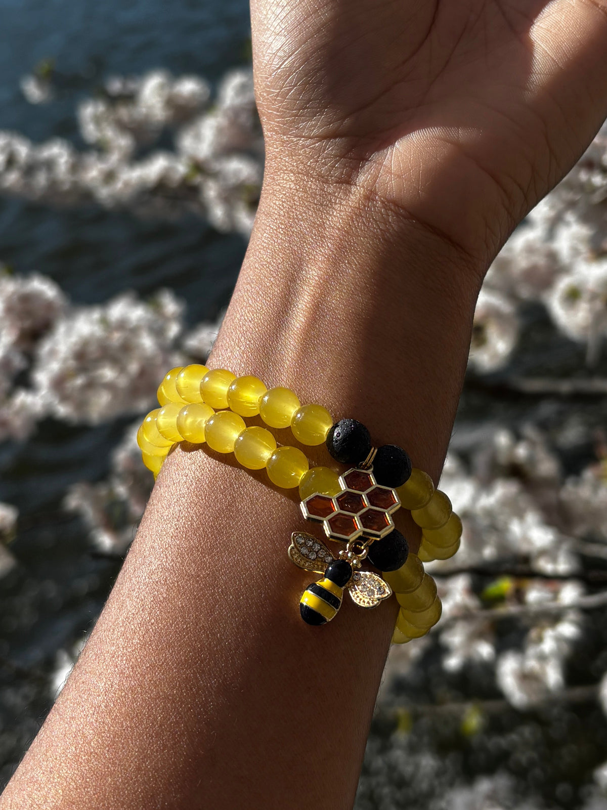 Honey bee
